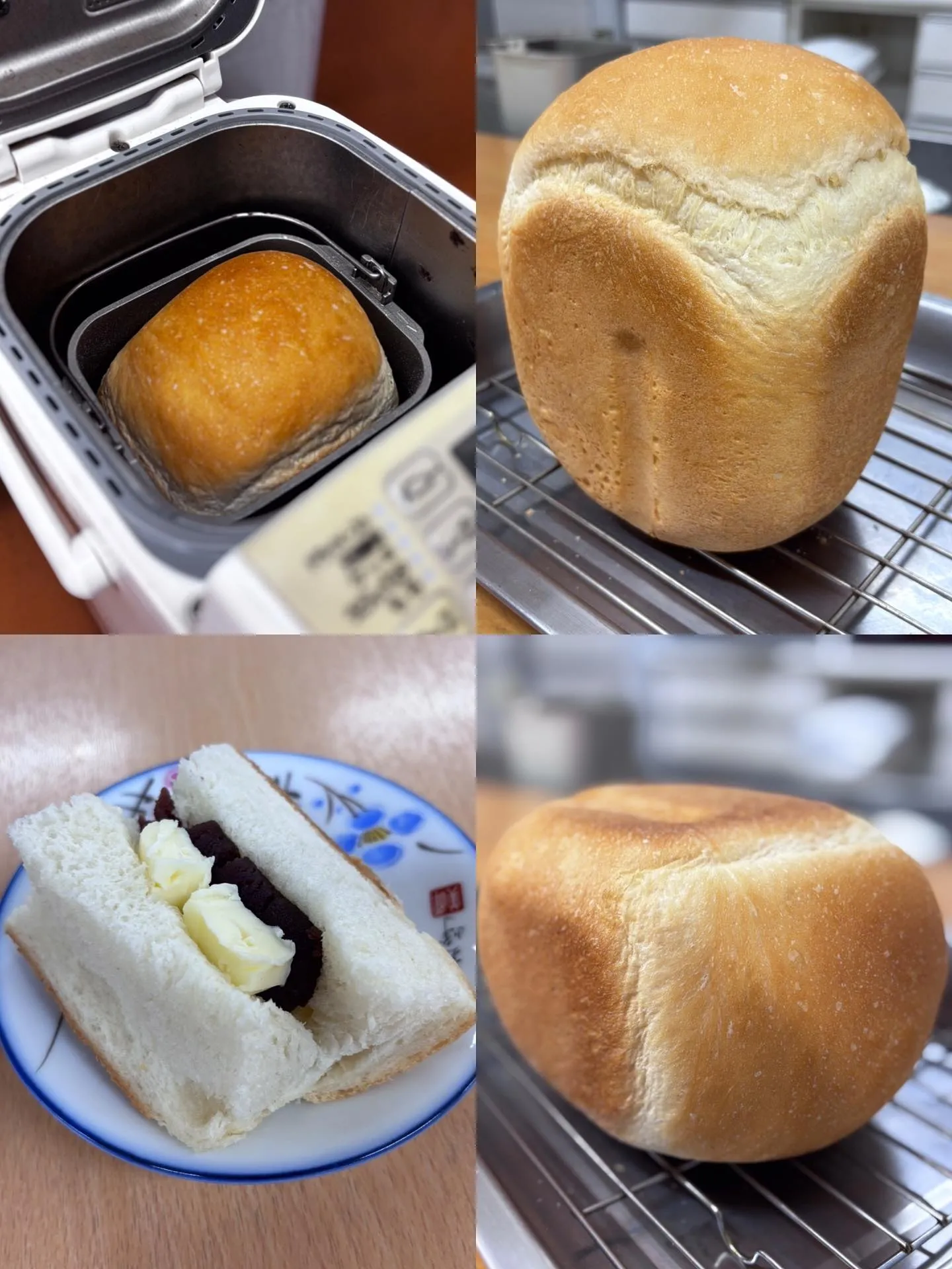 梅雨なりました☔✨