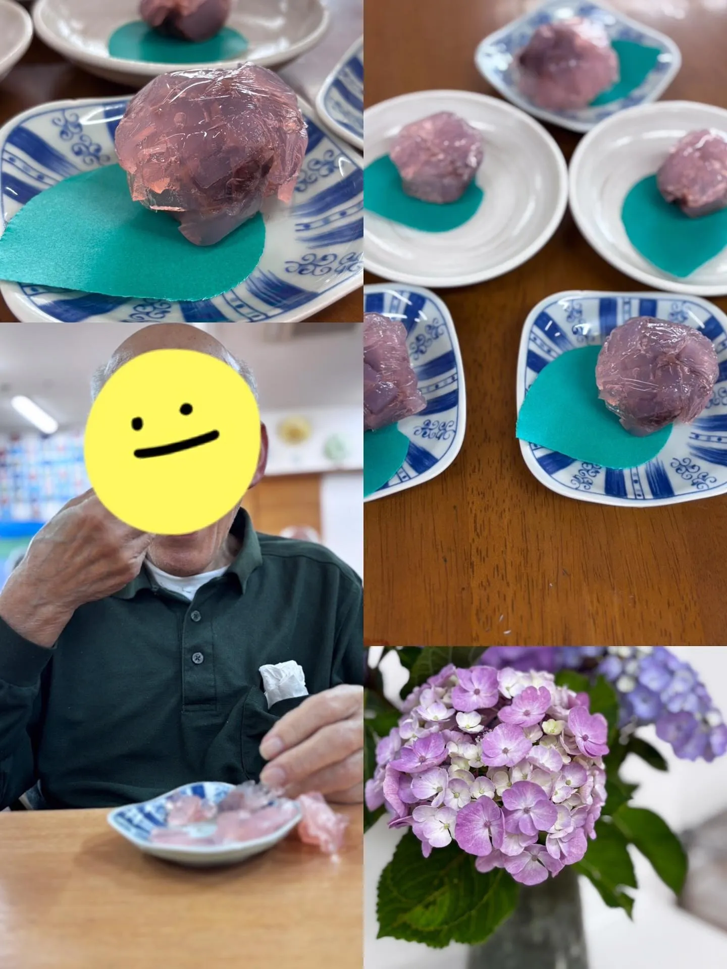 梅雨なりました☔✨