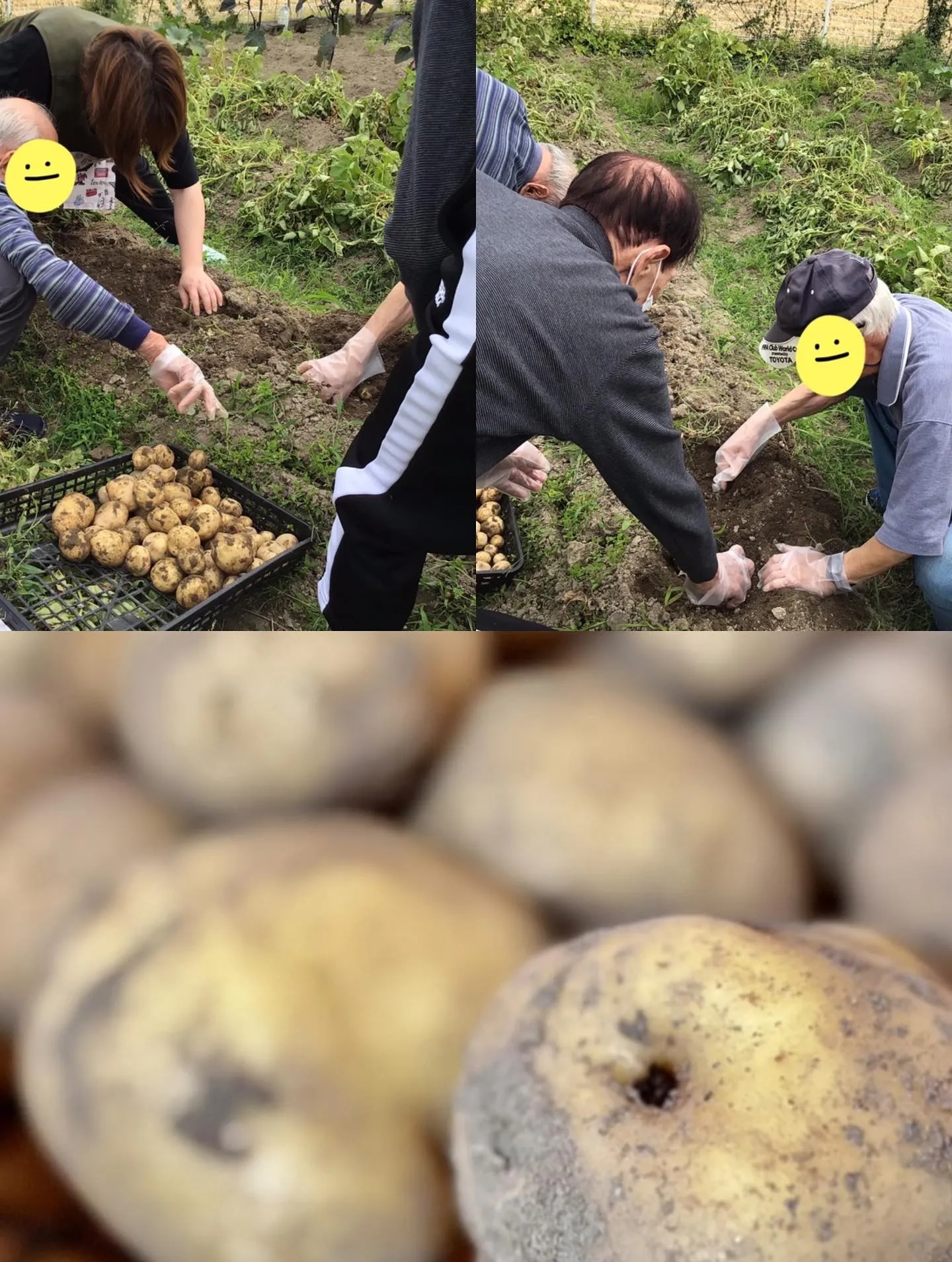 梅雨なりました☔✨