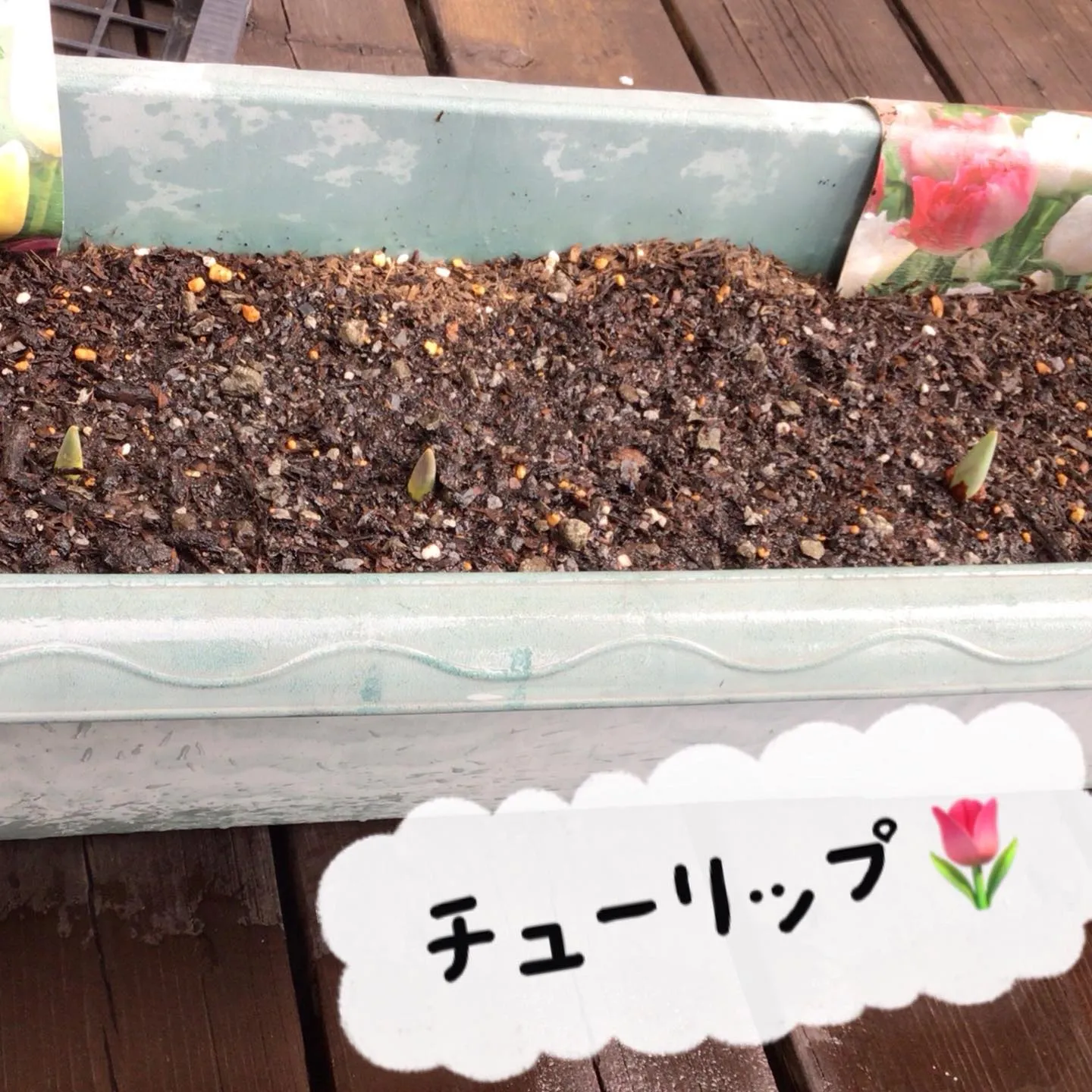 明けましておめでとうございます！