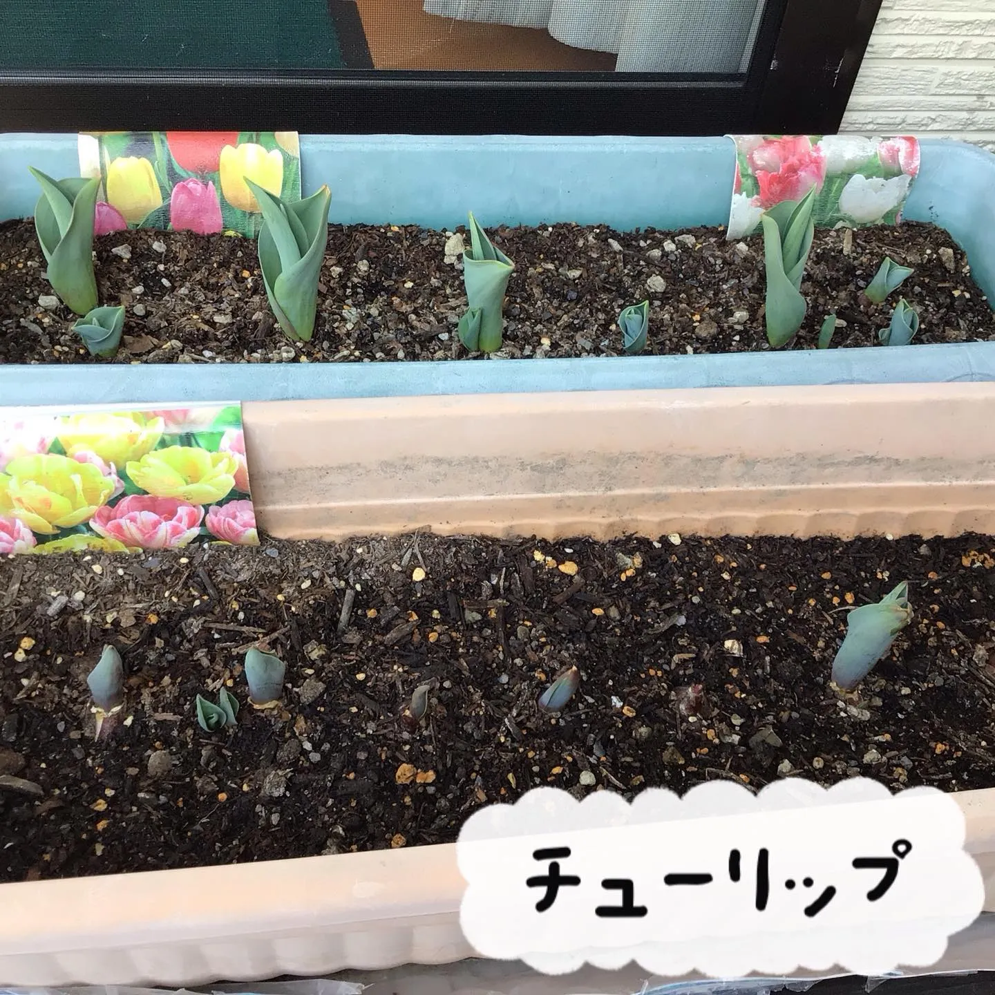 グループホーム森津つるユニットです😊