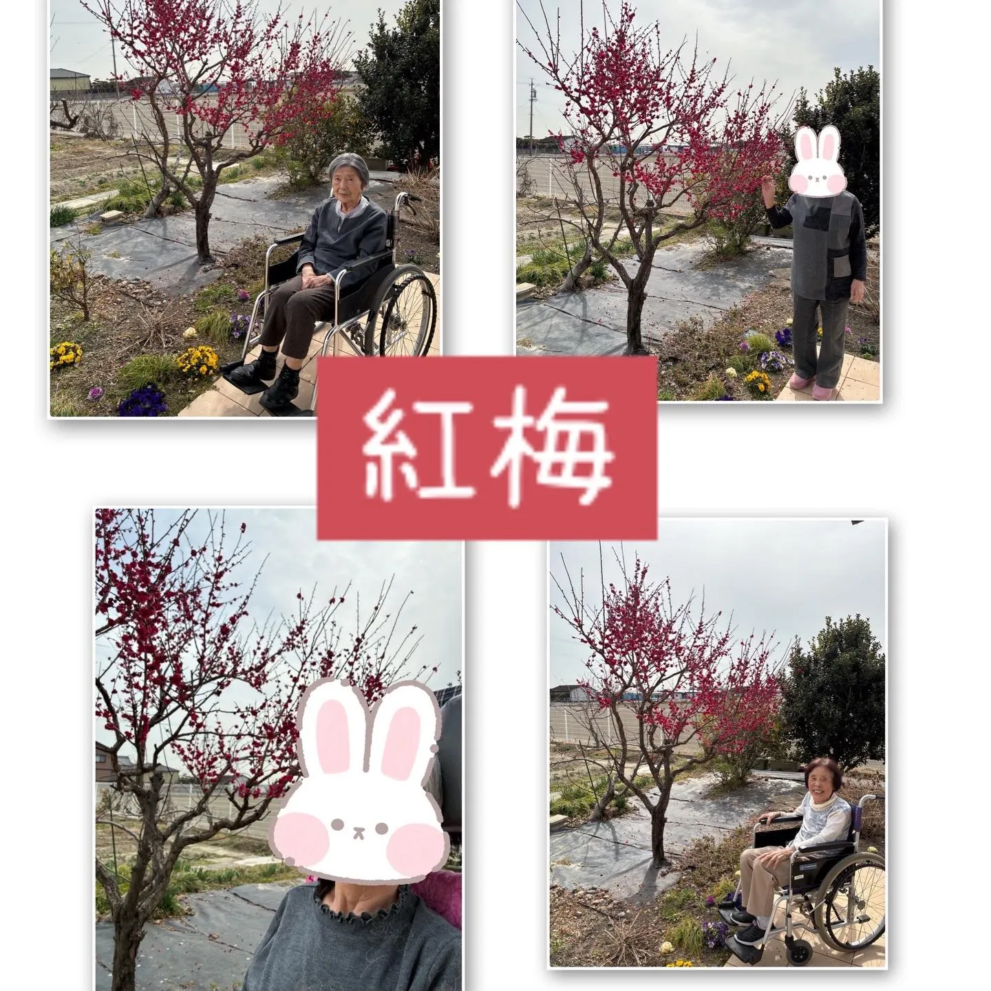 グループホーム森津の里さくらユニットです🌸