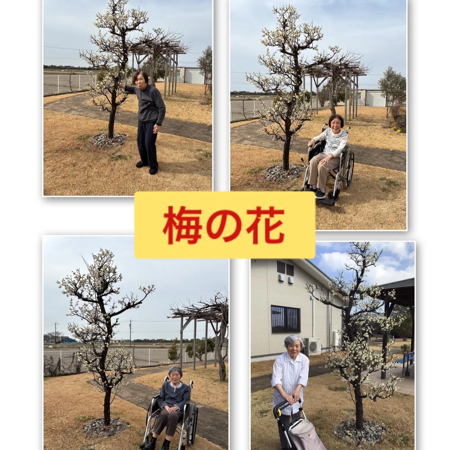 こんにちは😃　森津の里桜ユニットです🌸