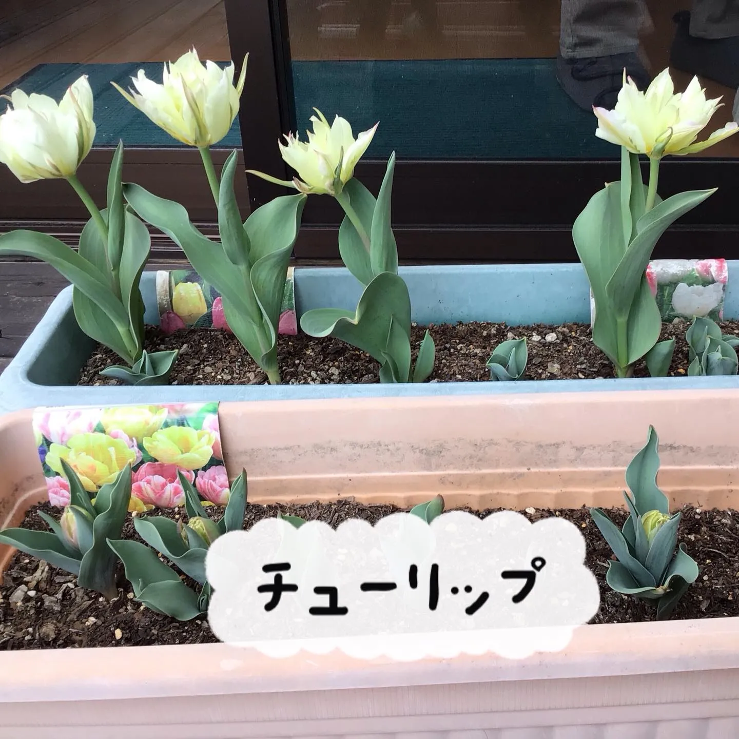 グループホーム森津つるユニットです😊