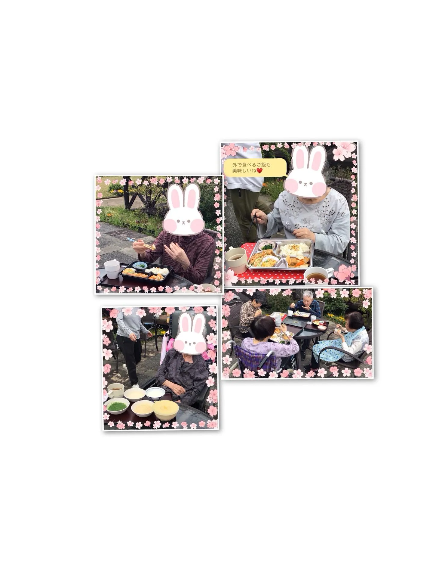 こんにちは桜ユニットです🌸