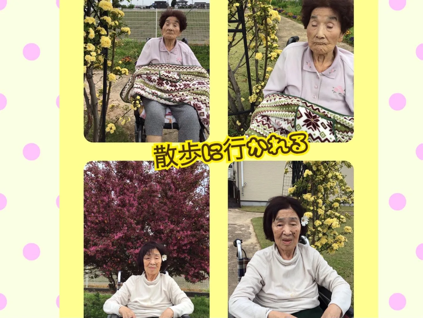 皆さんこんにちは