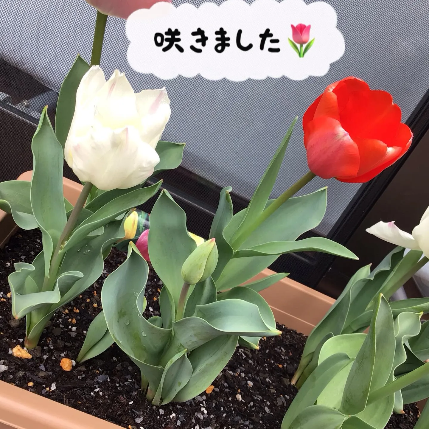 グループホーム森津つるユニットです😊