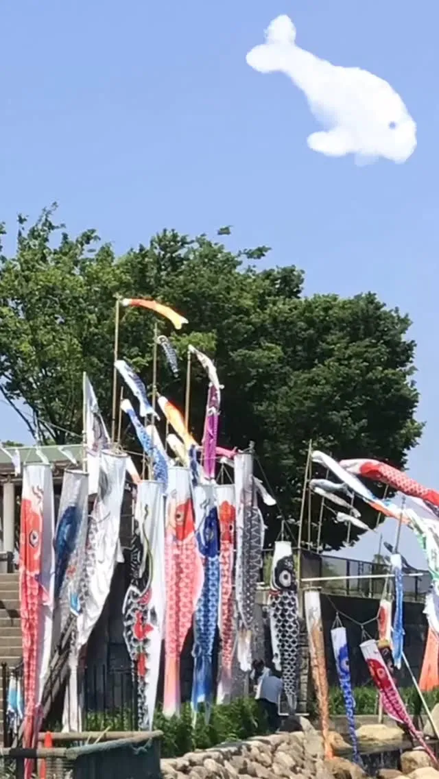 こんにちは(」・ω・)